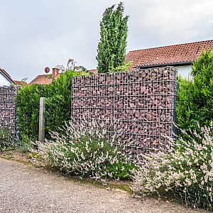 447304817